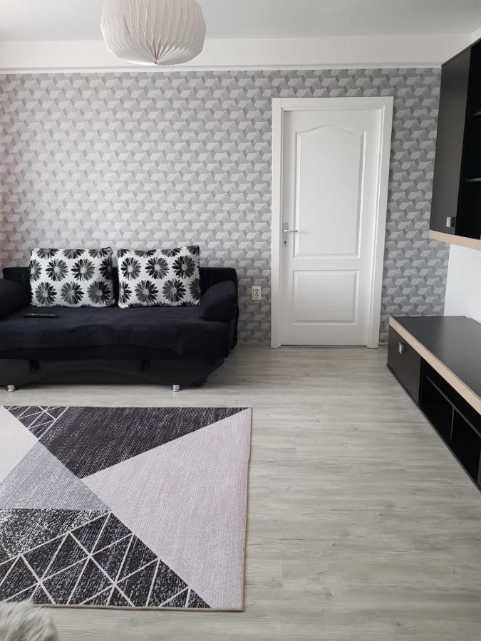 Ana Apartament Râmnicu Vâlcea 外观 照片