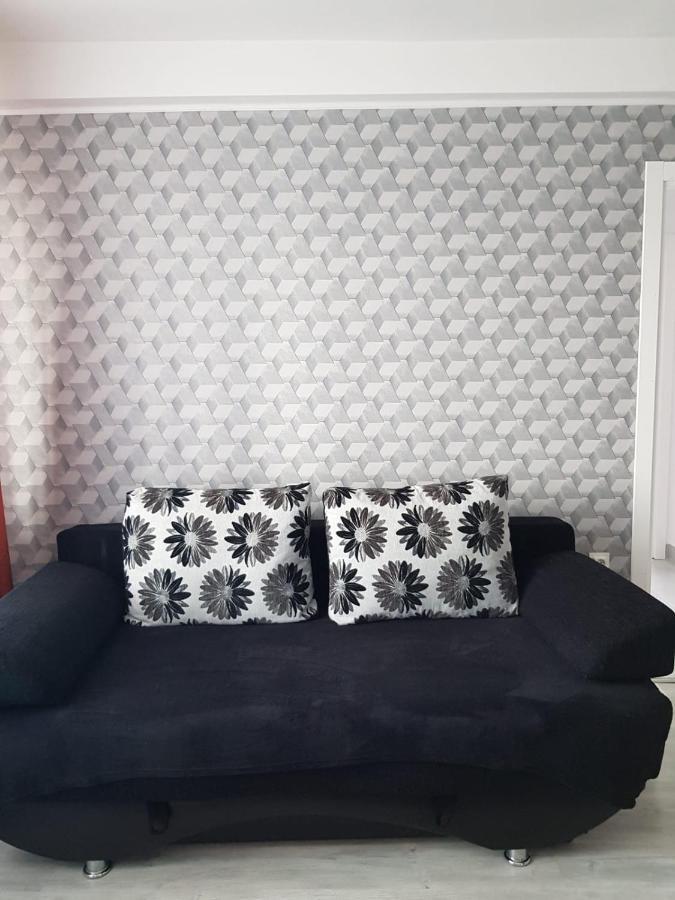Ana Apartament Râmnicu Vâlcea 外观 照片