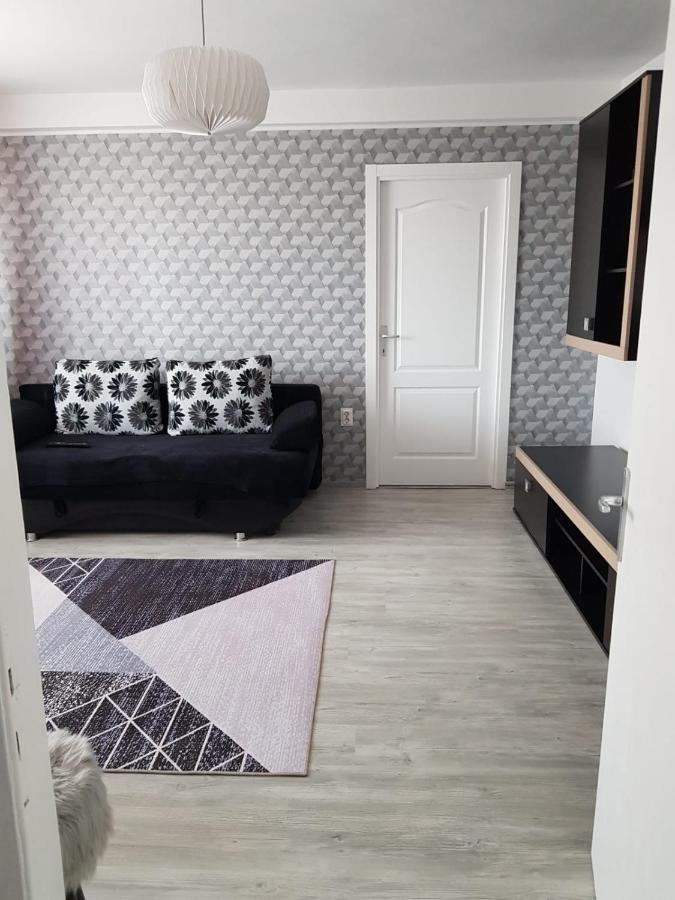 Ana Apartament Râmnicu Vâlcea 外观 照片