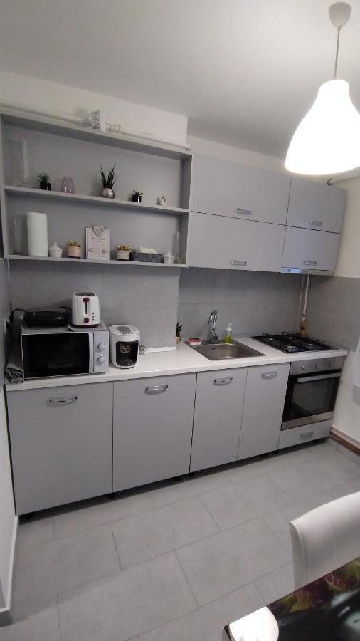 Ana Apartament Râmnicu Vâlcea 外观 照片